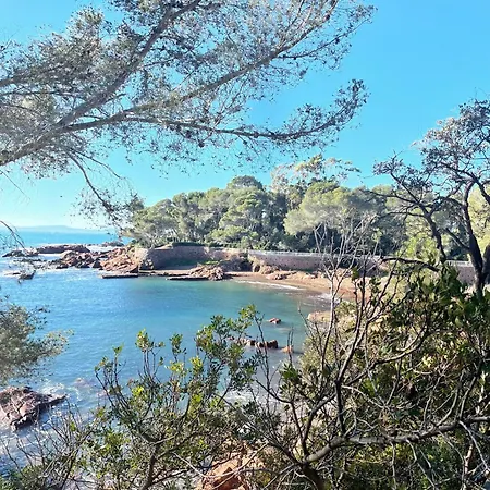 2 Pieces Saint Raphael Renove, Classe 4 Etoiles, 100 M Plages, Piscine, Tennis, Parc, Terrasse, Jardin Privatif Exterior foto